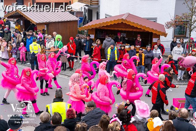 Foto Laudi_Pleintinger_Faschingszug-206077.jpg